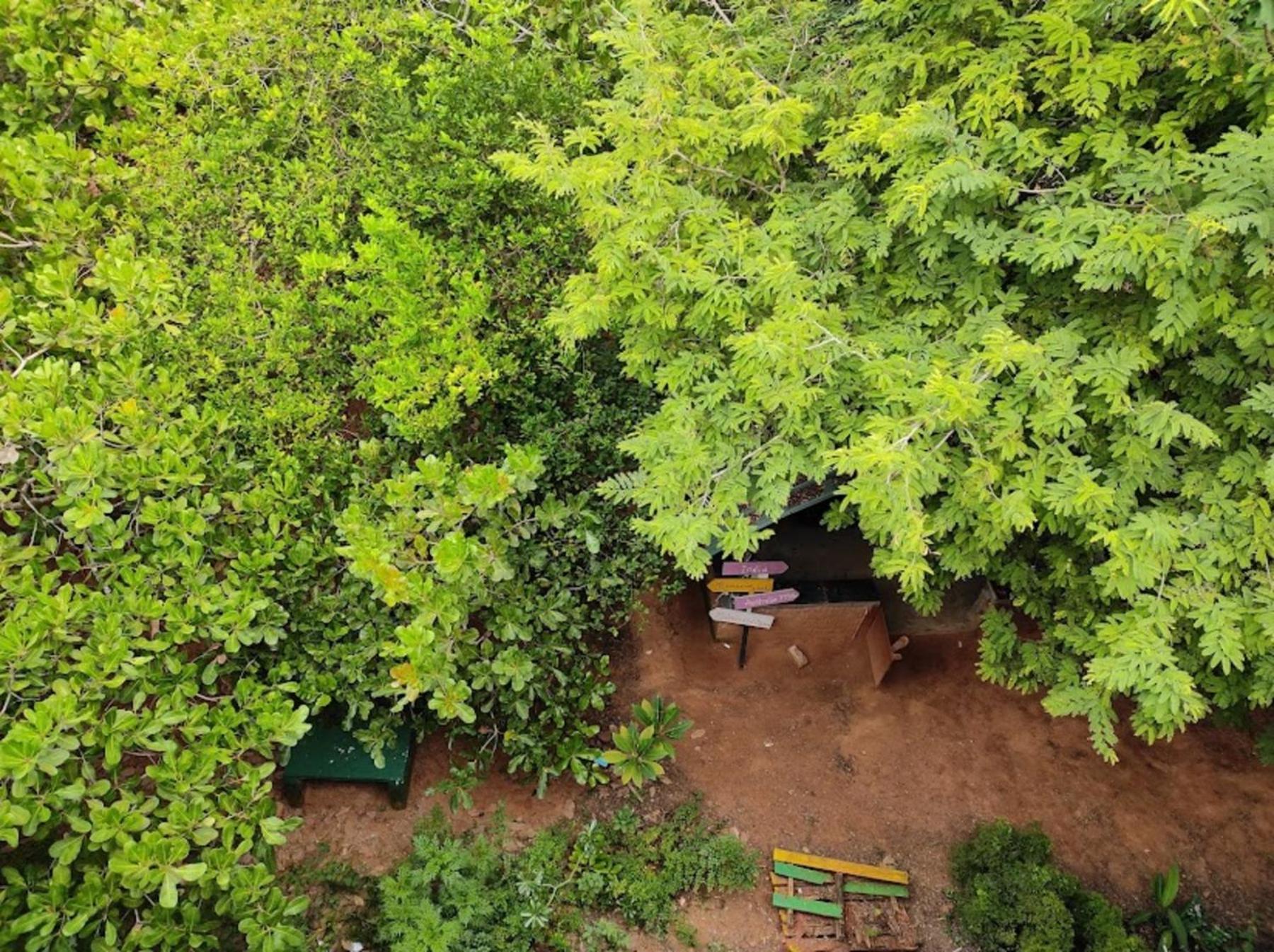 Travellers Crib 호텔 오로빌 외부 사진